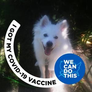 Meet your Posher, Darlene